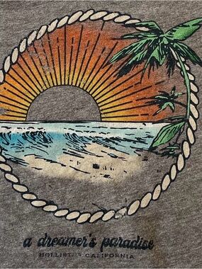 Hollister Crop Gray Tee with Orange Sunset and Teal Waves - XS